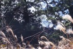 R0012609